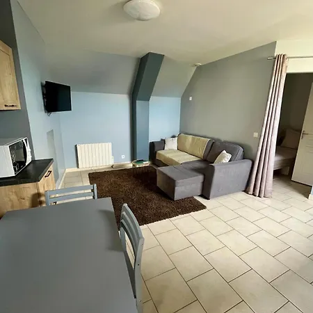 L'agapanthe, Avec Acces Piscine Et Jacuzzi Lejlighed