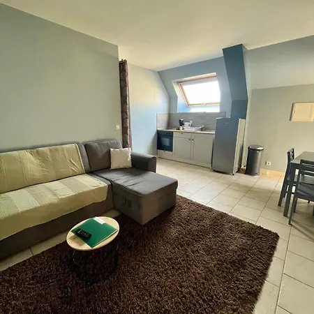 L'agapanthe, Avec Acces Piscine Et Jacuzzi Lejlighed